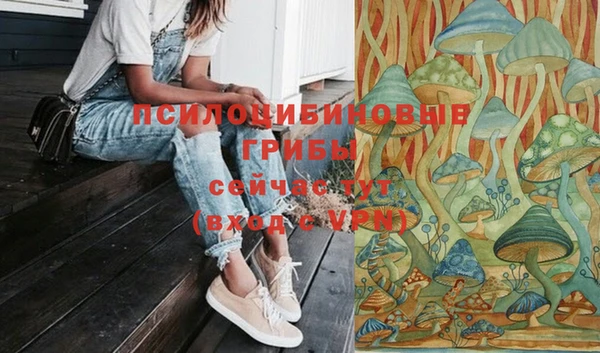бошки Балахна